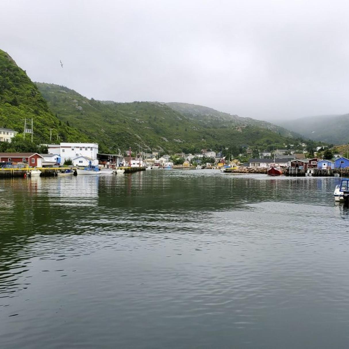 Petty Harbour in Newfoundland