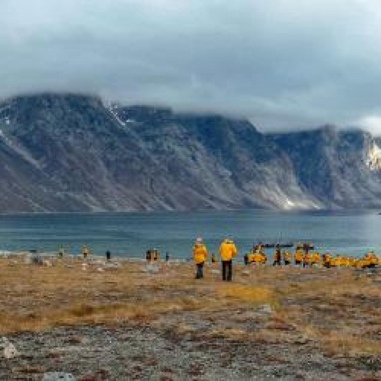 Large cliffs erupt from the arctic landscape covered with yellow grasses. 