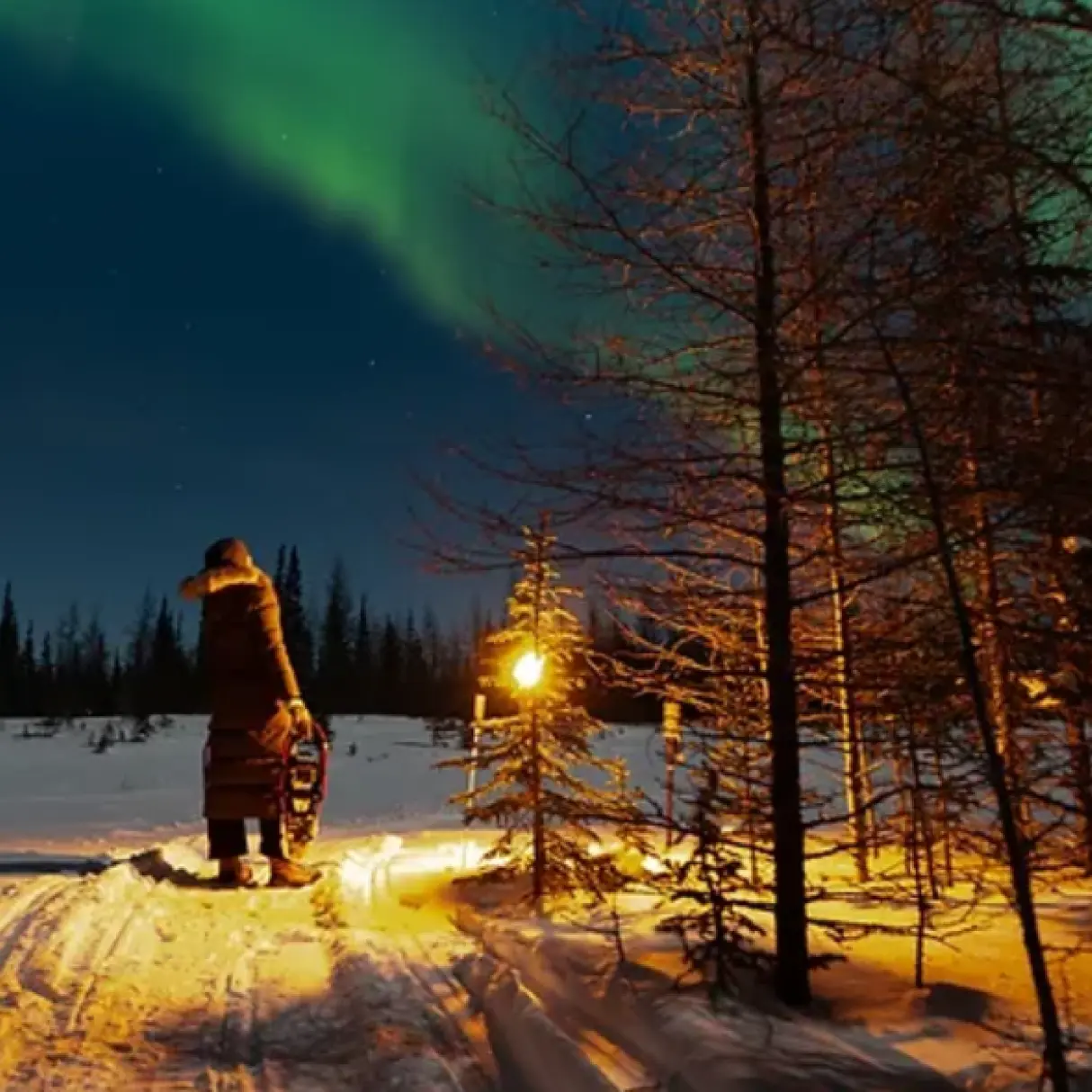A person wearing a large coat holds a lantern as they look up at green northern lights in the night sky.
