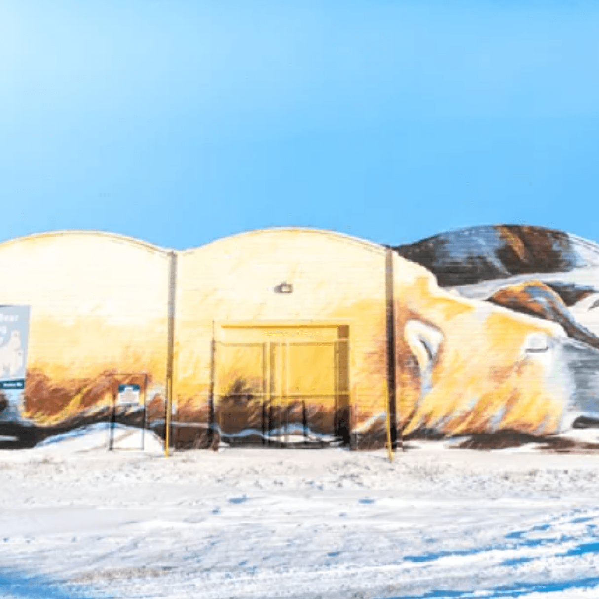 A warehouse-style building sits on the snowy ground. On the building is a mural of a polar bear sleeping.