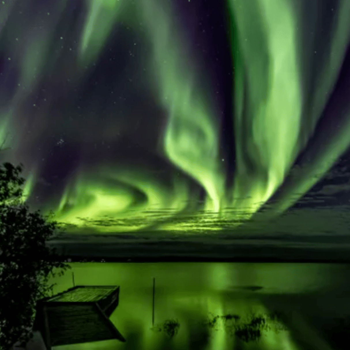 Green northern lights that dance across the night sky are reflected back on a calm lake below.