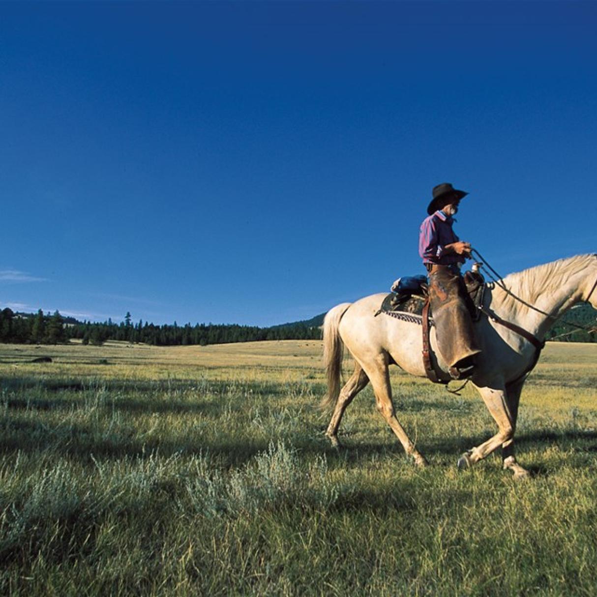 cowboy riding through an open prairie