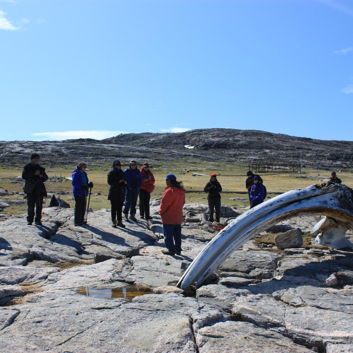 A group of travellers with their Inuit guide at a Territorial Historical Park near Pangnirtung, looking at a massive whale bone