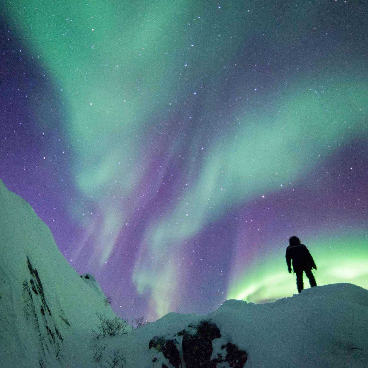 People staring at the northern lights above