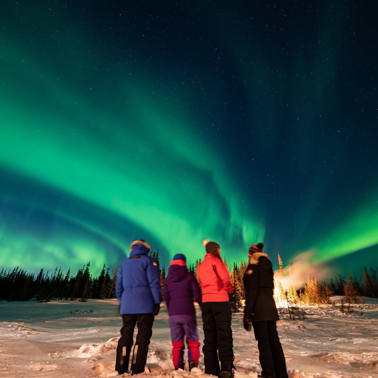 A group of people standing beneath the Northern Lights