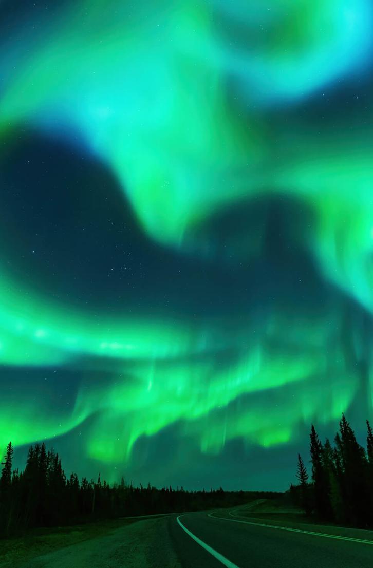 The northern lights above a forest