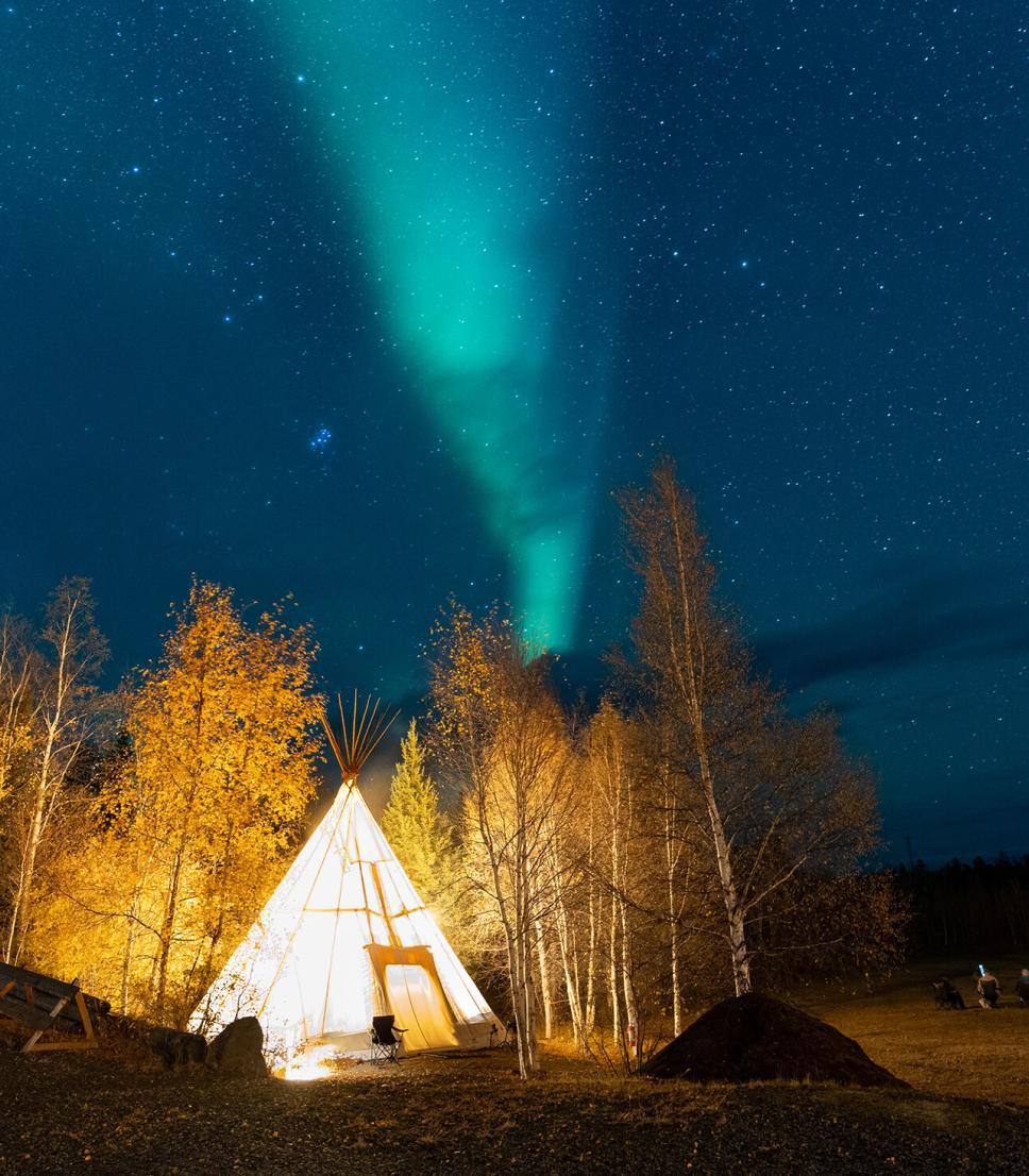 A tent in a forest, under the Northern Lights