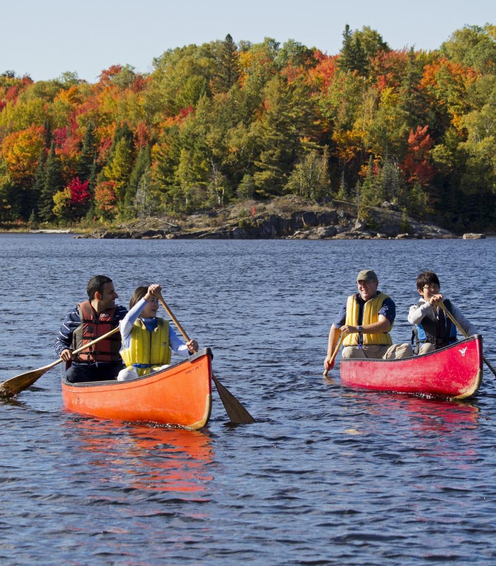 Travellers paddling two canoes in Algonquin Park