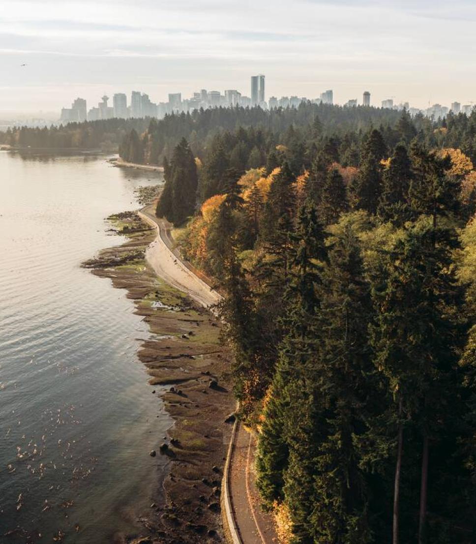 aerial view of vancouver seawall taken from lion's gate bridge in vanouver, bc 