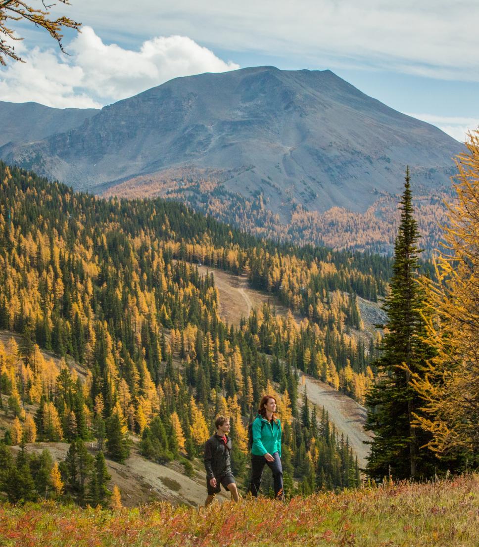 You’ll Love Alberta’s Spectacular Fall Colours