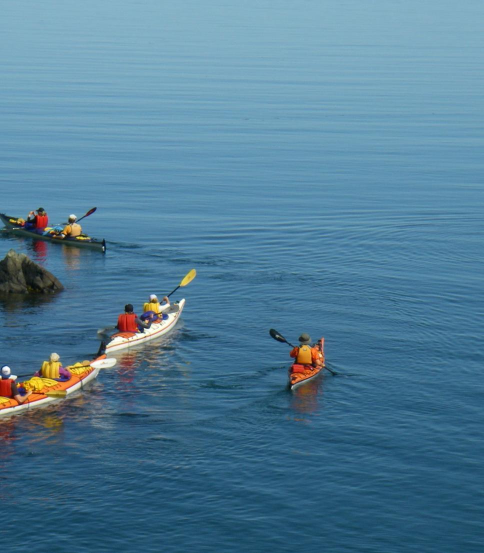 Sea Kayaking Tours New Brunswick