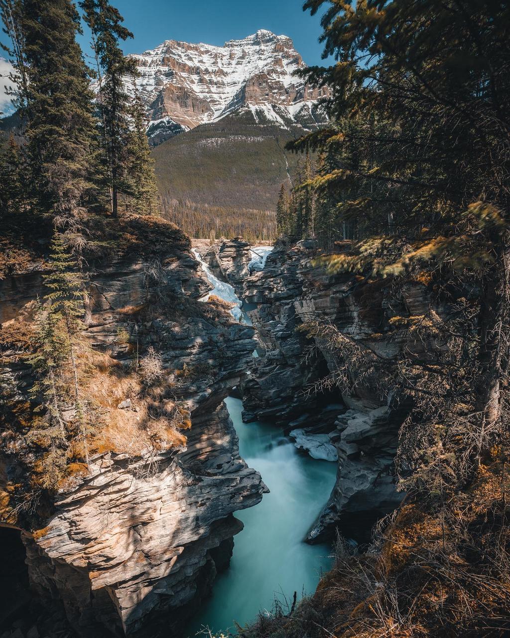 アルバータ州 Destination Canada